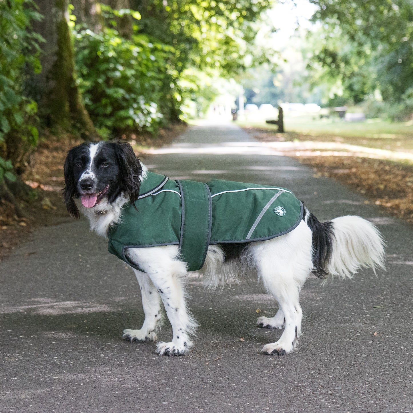Green Waterproof Dog Coat With Harness Opening