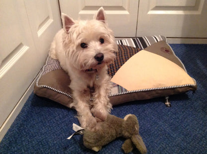Rambler Dog Mat