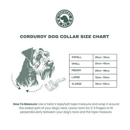 Corduroy Collars with Detachable Dickie Bow