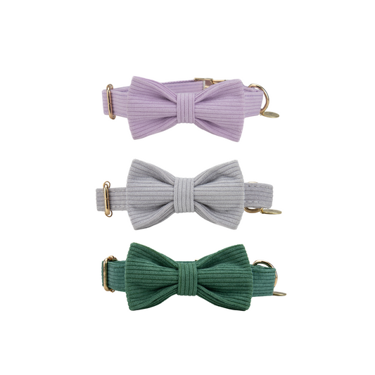 Collars with Detachable Dickie Bow