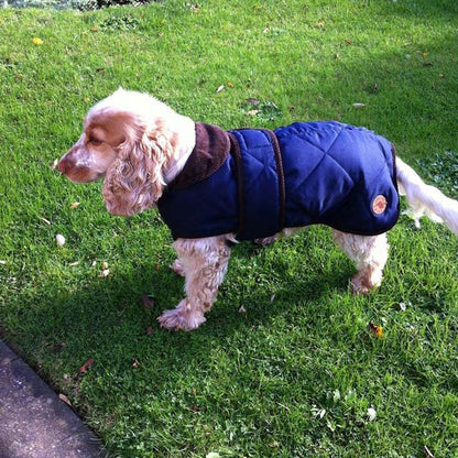 Quilted Dog Coat