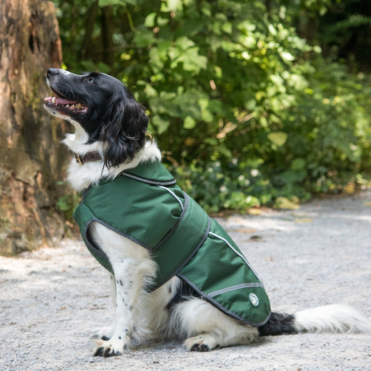 Green Waterproof Dog Coat With Harness Opening