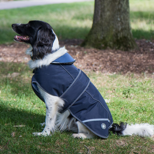 Navy Waterproof Dog Coat With Harness Opening