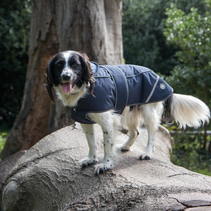 Navy Waterproof Dog Coat With Harness Opening