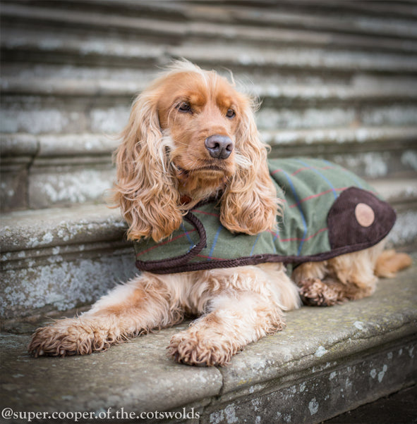 Luxury Tweed Dog Coat