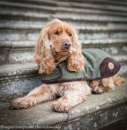 Luxury Tweed Dog Coat